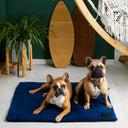 Stylish blue travel dog bed in a sky-inspired tone. Made from highly durable, pet-friendly materials with excellent insulation. Lightweight and compact – your go-to for every trip.
Perfect for: Labrador, Golden Retriever, Border Collie, German Shepherd, Cocker Spaniel, Jack Russell Terrier, Chihuahua, and Shih Tzu.