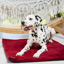 Lightweight and compact travel mat for dogs in vibrant red. Made from pet-friendly, high-resistance materials perfect for outdoor use. Excellent insulation, easy to transport, and highly visible in nature.