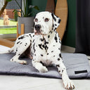 Lightweight grey travel mat for dogs made from pet-friendly materials that provide excellent insulation. Perfect for holidays, trips, and daily walks – easy to transport and highly durable.