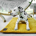 Practical travel dog bed in a sunny yellow shade. Its lightweight, foldable design makes it ideal for travel. Pet-friendly materials ensure comfort and thermal insulation.
