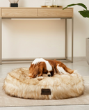 Pet accessories